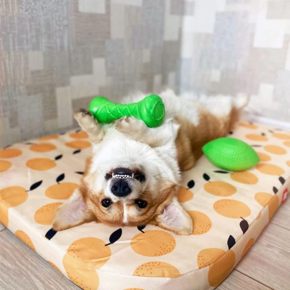 Dumbbell Dog Fetch Toy Outdoor Barbell Dog Toy for Small Medium and Large Breed Dogs Floating Dog Toy Dog Ball & Dog Frisbee Alt Outside Dog Yard Toys Best Dog Birthday Gift Green