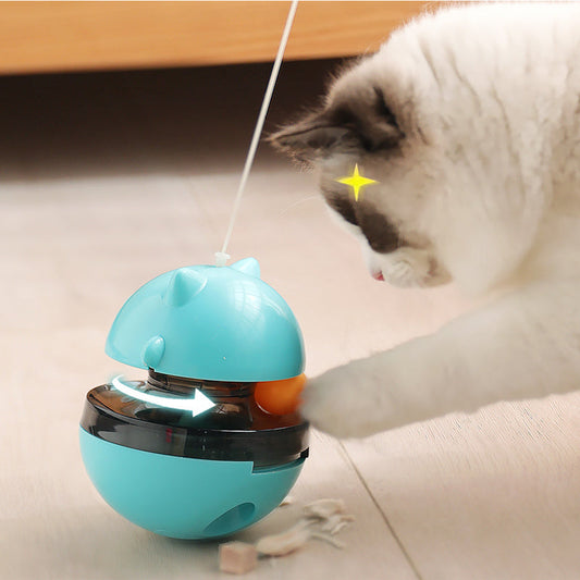 Seasons of Play: Crafting Year‑Round Enrichment for Pets with Fetch & Reel