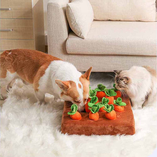 Unleashing Joy: How Fetch & Reel Toys Turn Everyday Moments into Extraordinary Adventures for Your Pet