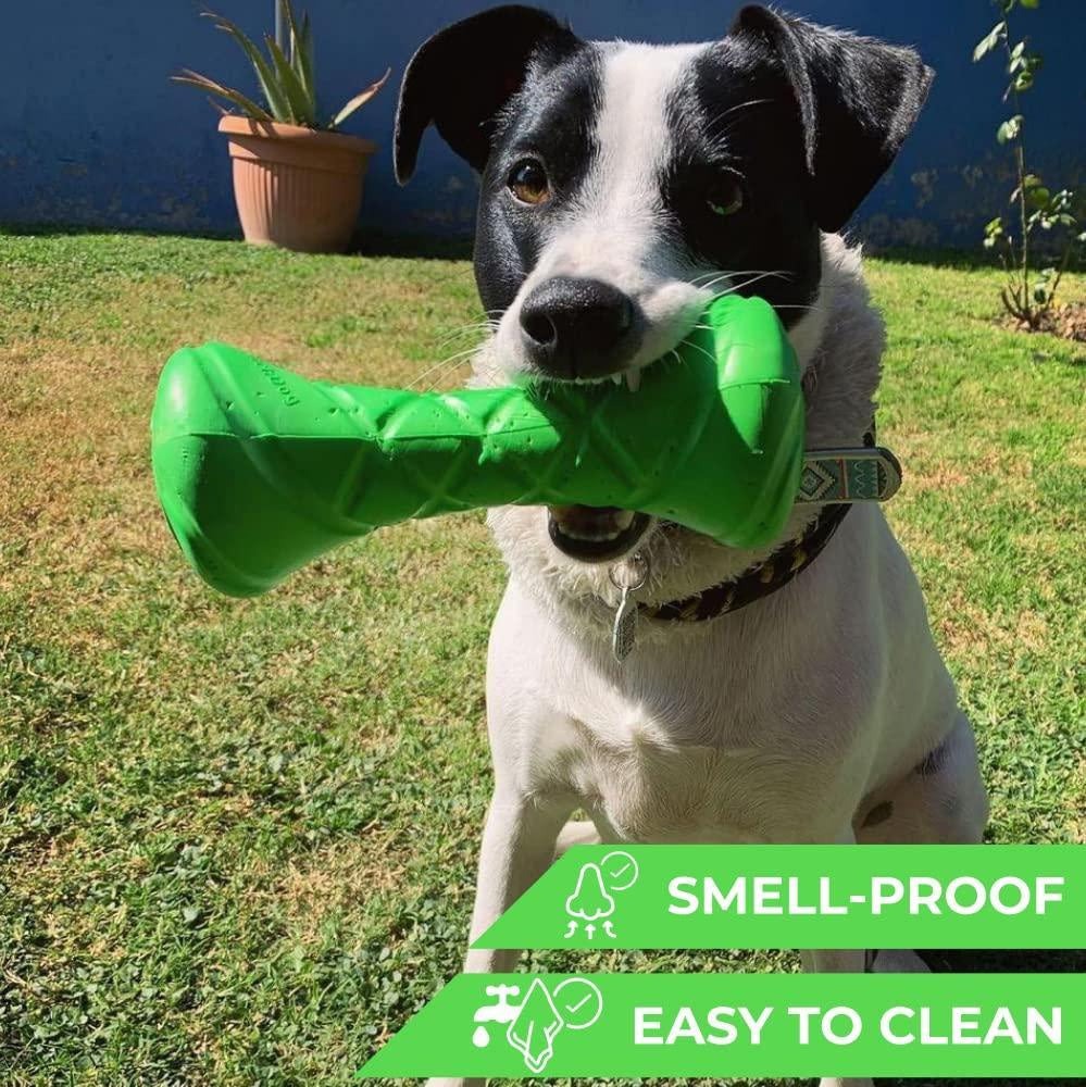 Dumbbell Dog Fetch Toy Outdoor Barbell Dog Toy for Small Medium and Large Breed Dogs Floating Dog Toy Dog Ball & Dog Frisbee Alt Outside Dog Yard Toys Best Dog Birthday Gift Green