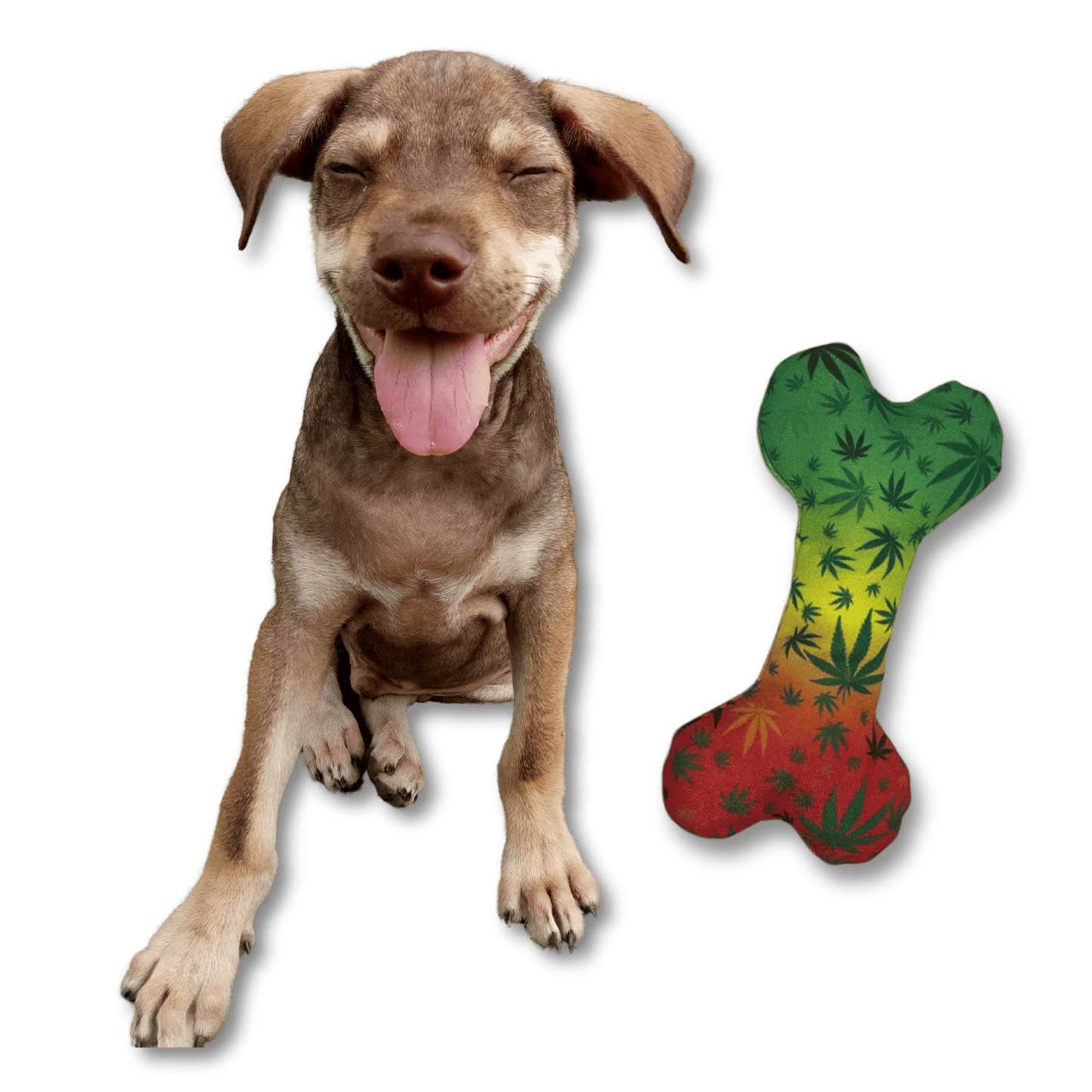 Stoned to da Bone 420 Dog Toy